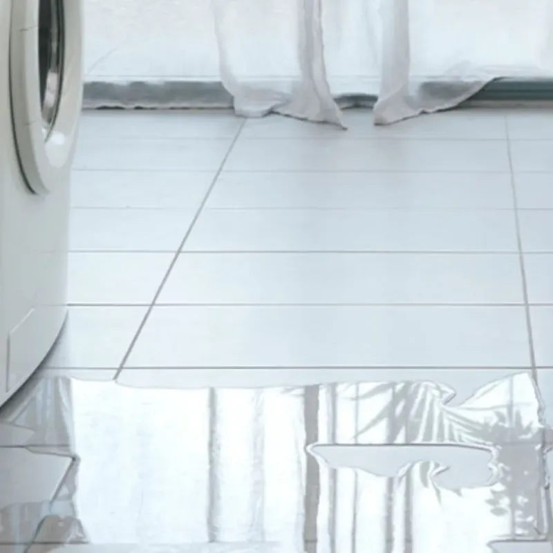 Appliance Leak Cleanup in Hidalgo, TX
