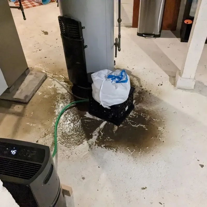 Sewage Backup Cleanup Service in Hidalgo, TX